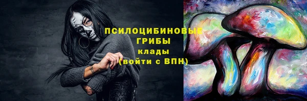 спайс Вяземский