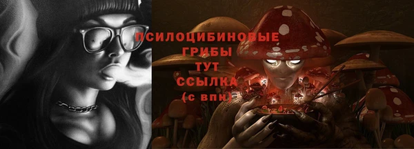 индика Сосновоборск
